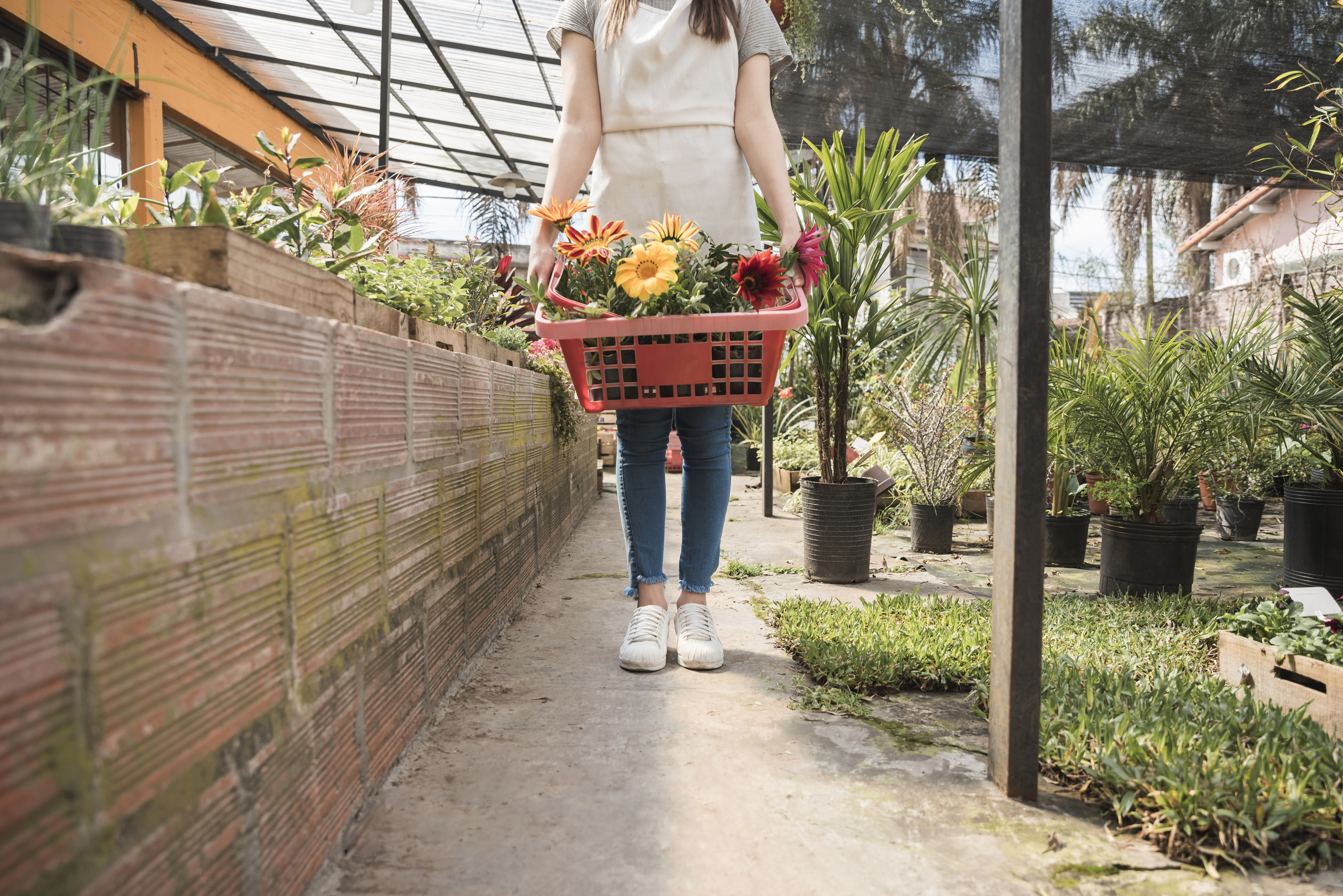 Agricultura Urbana